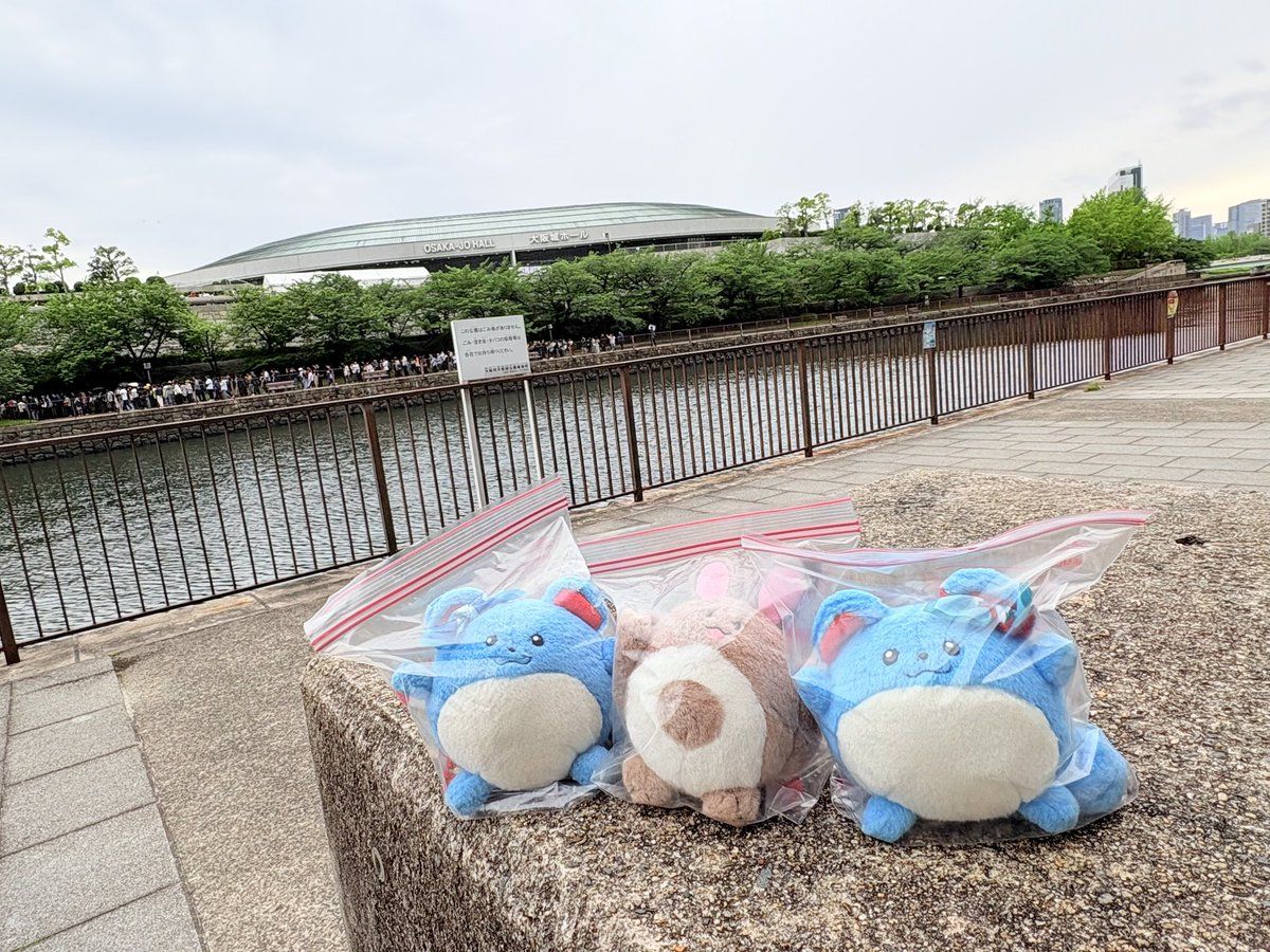 mtmt_mrl's tweet photo. オタチちゃん、ウチはライブにたくさん行くお家です！雨だけど行くぞ〜！！！
（水濡れ防止ジップロック） https://t.co/hPcqa8GjBf