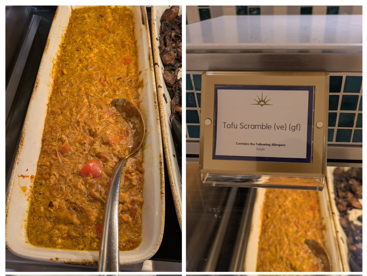 VeganOlive1's tweet image. #Vegan breakfast selection on @pandocruises Arvia 😋♥️🚢🌻🌱👌