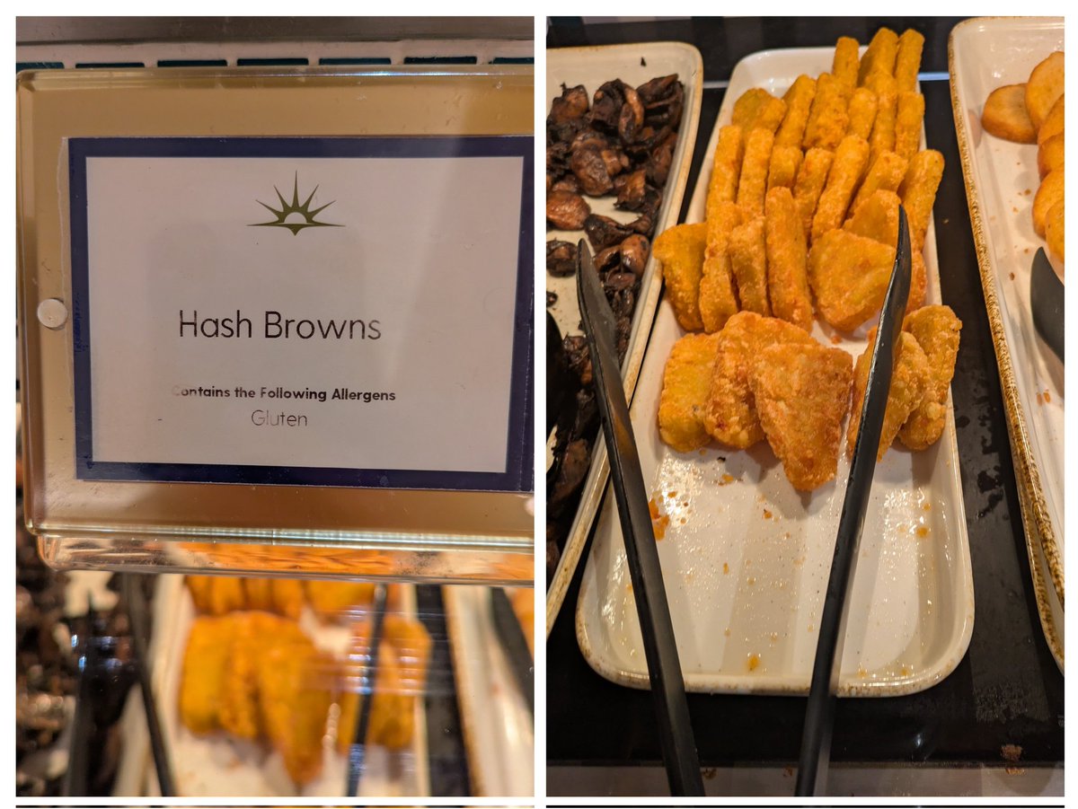 VeganOlive1's tweet image. #Vegan breakfast selection on @pandocruises Arvia 😋♥️🚢🌻🌱👌