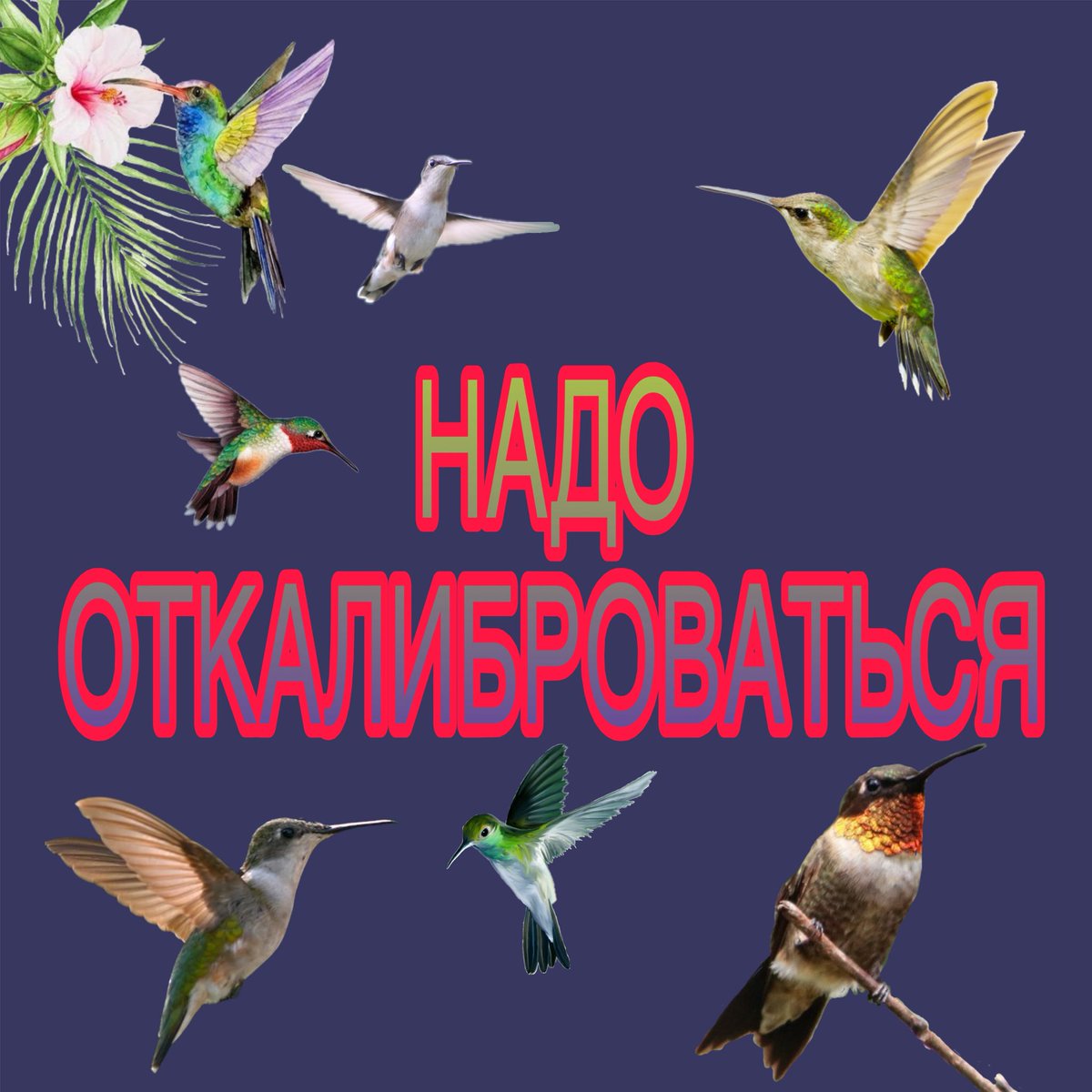 результат тысячелетнего разлития человечества ⚢ tweet media