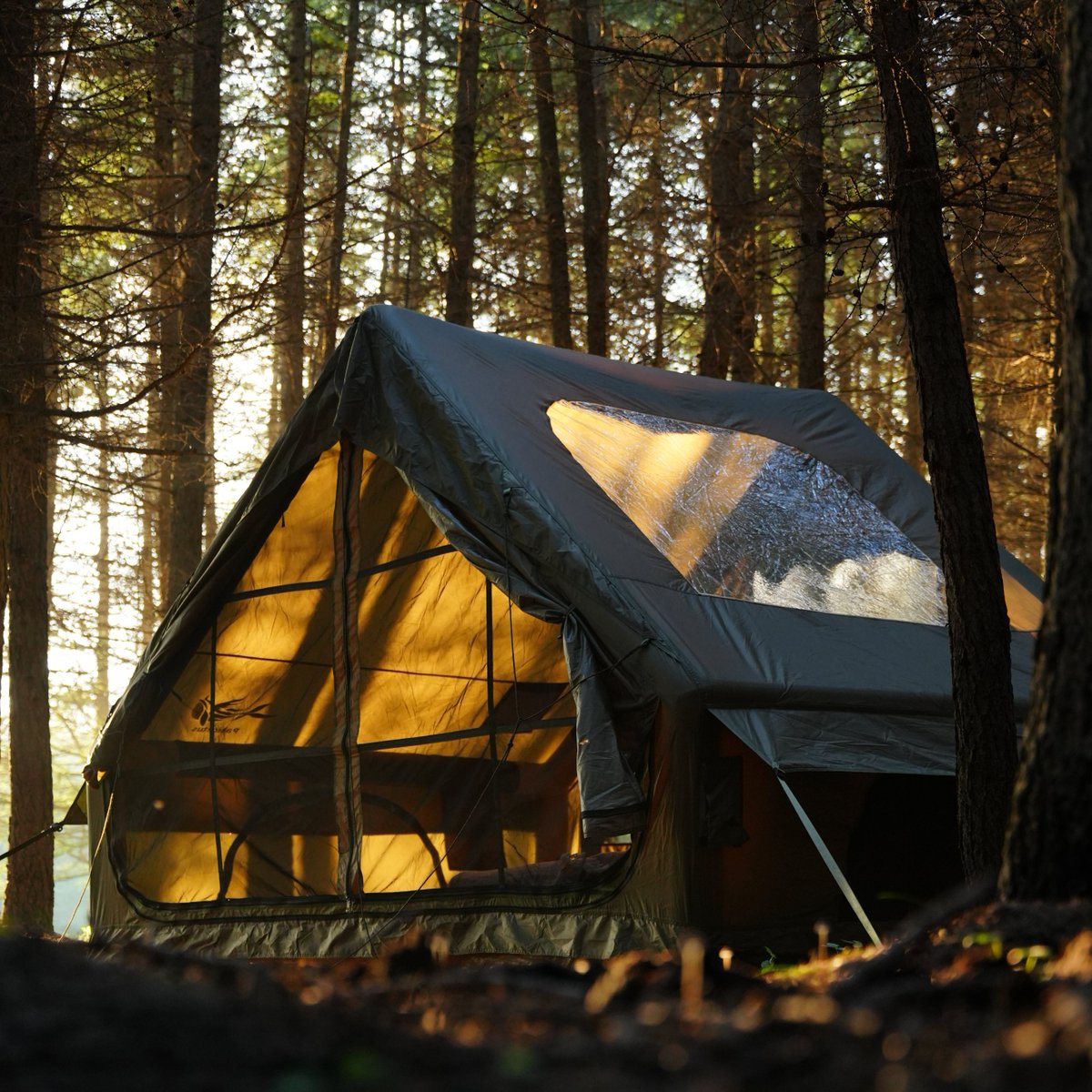 NairHernandez10's tweet image. Just want a calm space to sit and think less. you ever need that?

pakicetus.net

#camping #campingtents #inflatabletents #popuptents #tentstore #tentshop