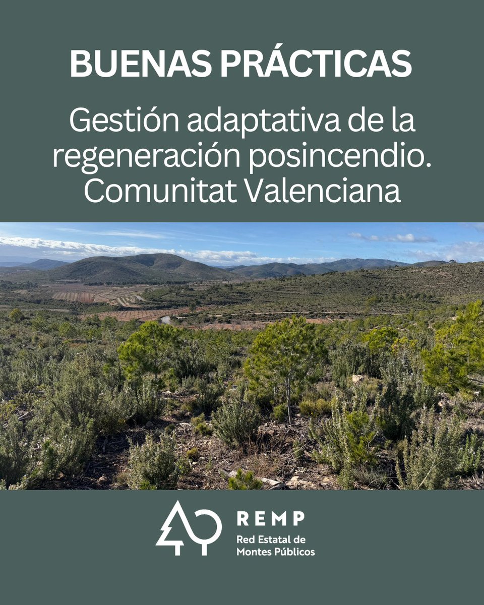 Red Estatal de Montes Públicos (REMP) tweet media