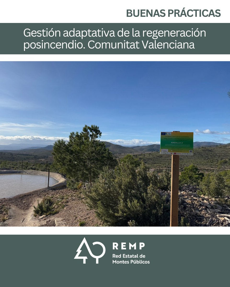 Red Estatal de Montes Públicos (REMP) tweet media
