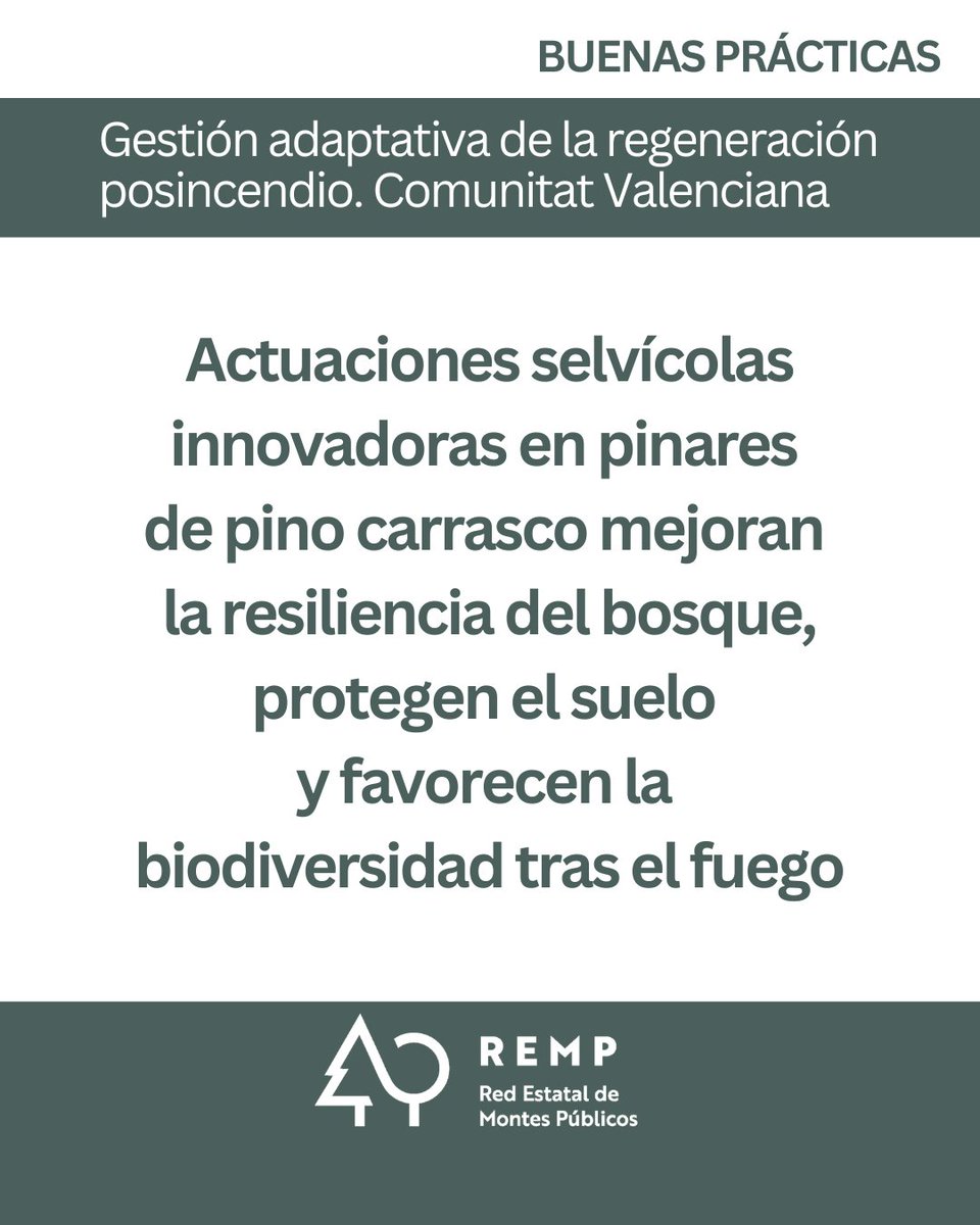 Red Estatal de Montes Públicos (REMP) tweet media