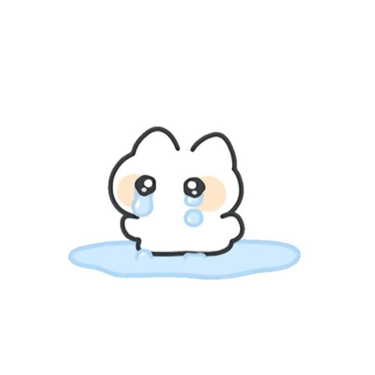 _서하 tweet media