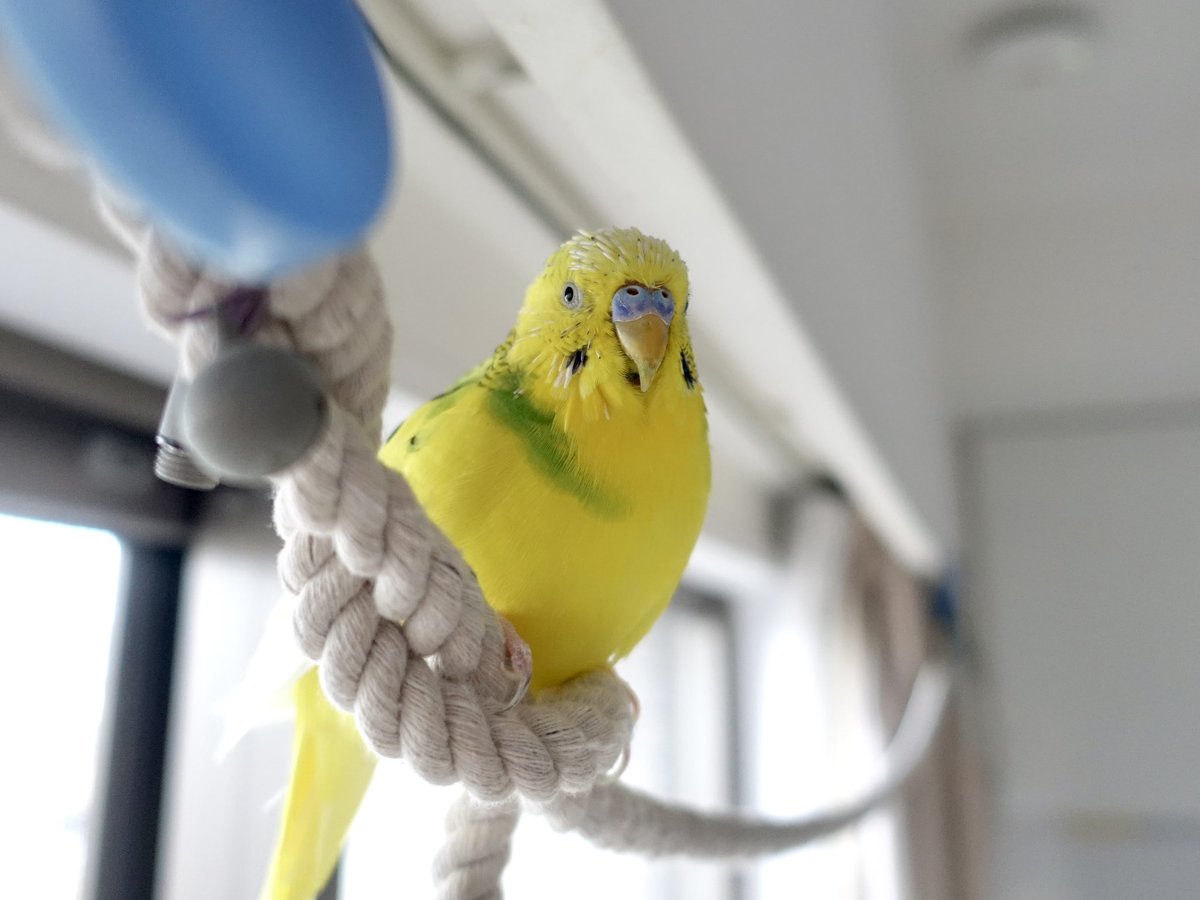 Sekiseihouse tweet media