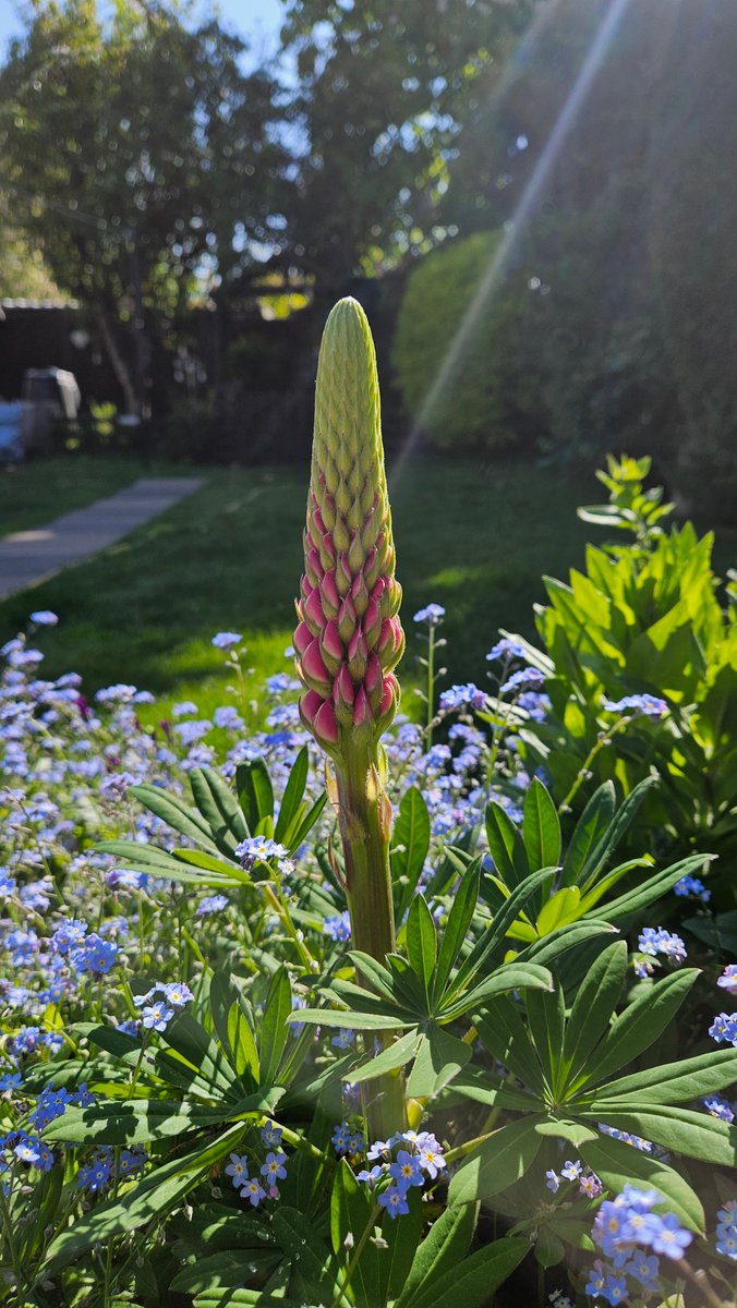 Anita💚✨️ tweet media