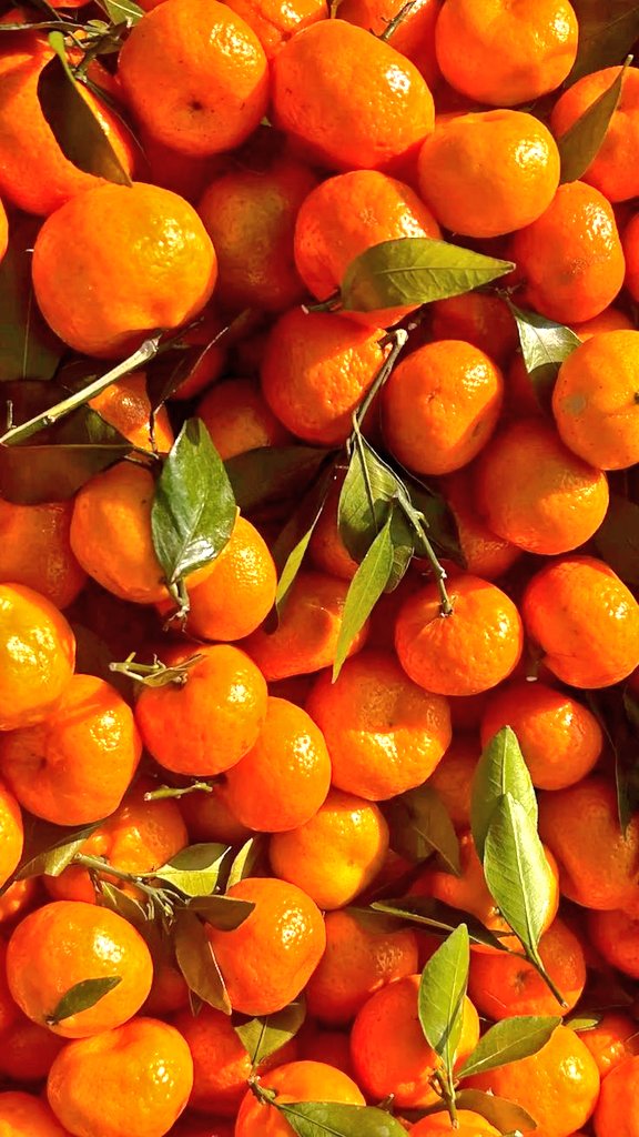 Same same but different🍊😋  hehehe...😅😶‍🌫️ 
#Abhinoor
