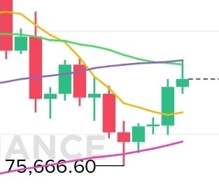 かにめし tweet media