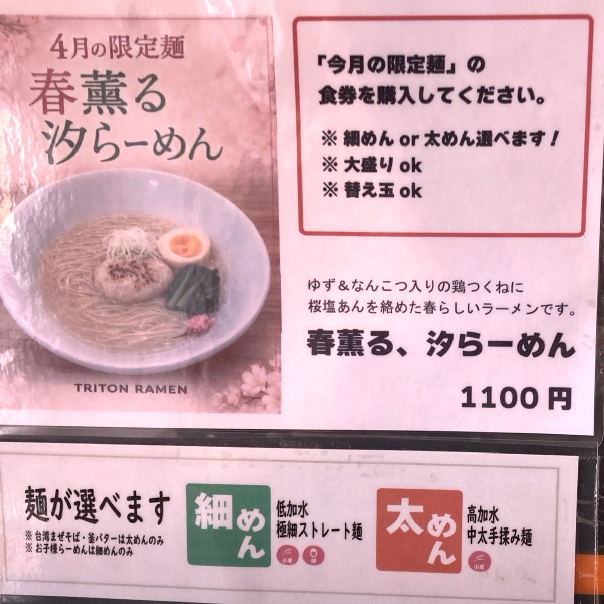goose_306's tweet photo. TRITON RAMENさんの4月限定、春薫る汐らーめん。来る度に細めんだったので今回は太めん(中太手揉み麺)。
(多分)デフォの汐らーめんに春要素として桜しおあんを絡めた鶏つくねが乗ってる一杯。結構シンプルですが鶏つくねがいいアクセントでした。
#TRITONRAMEN https://t.co/PGrKBir5O2