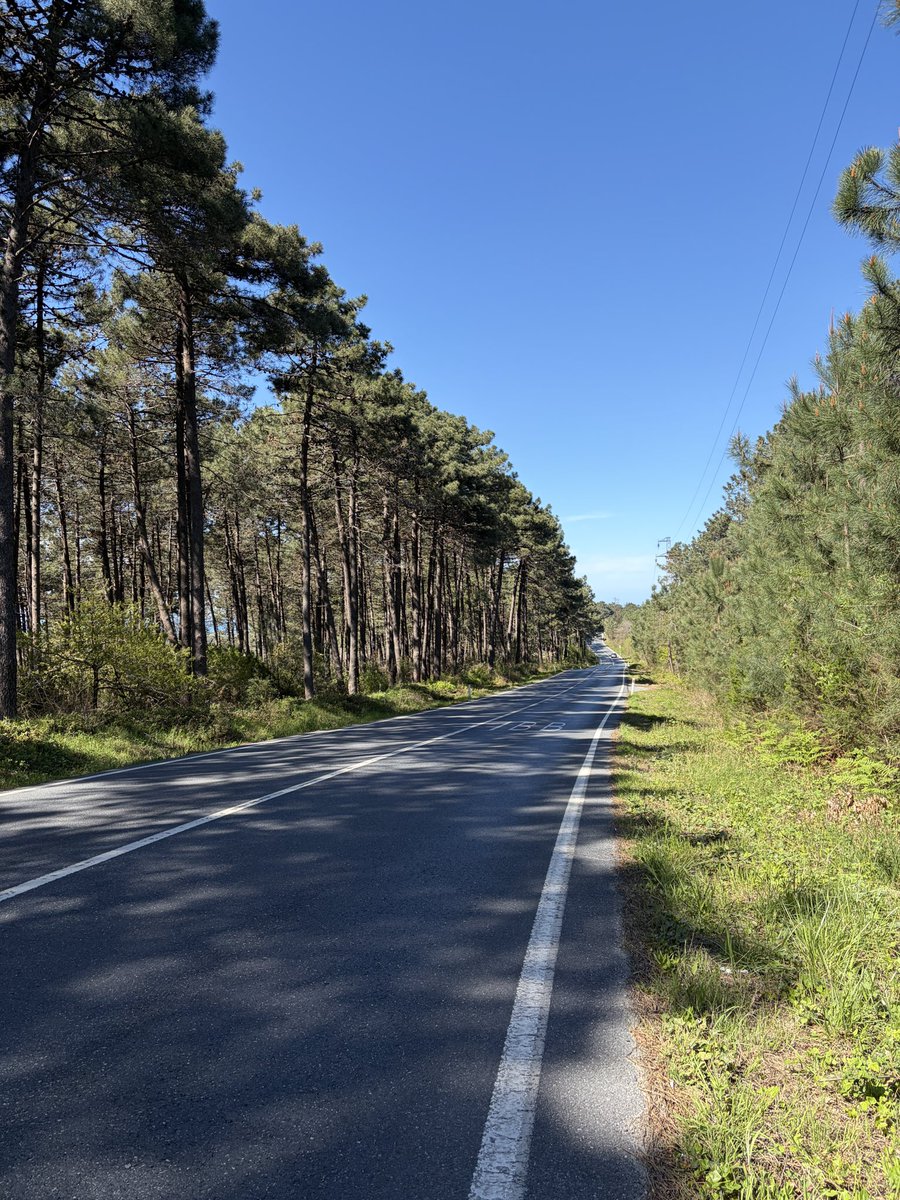 kiz kulesi tweet media