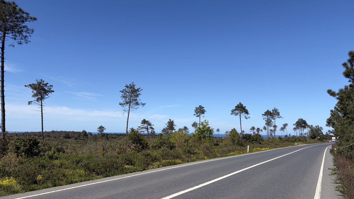 kiz kulesi tweet media