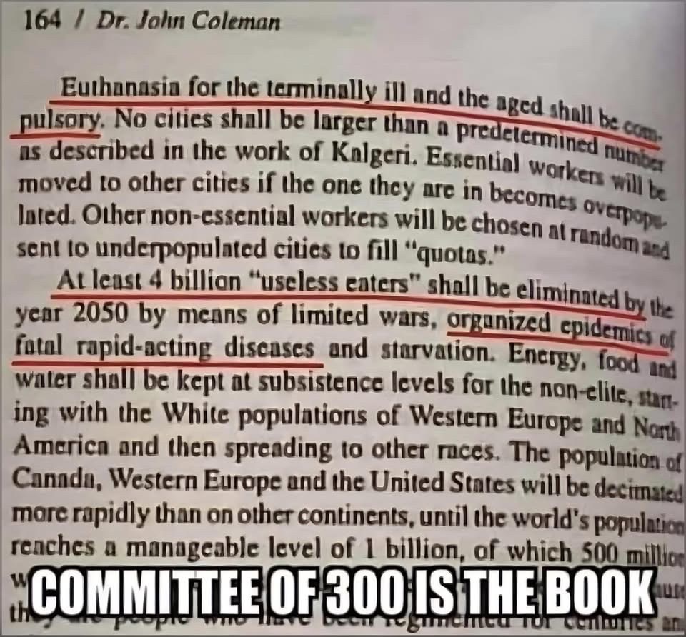 🧬Maxpein🧬 tweet media