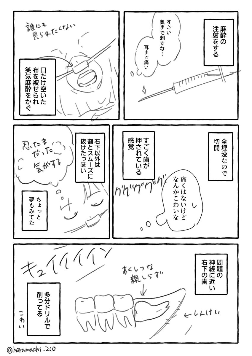 はる町 tweet media