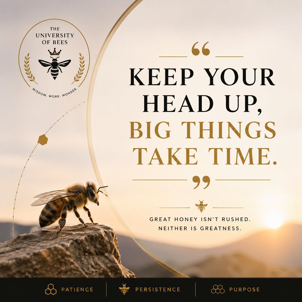 “Keep your head up—big things take time. Even the hive that overflows with honey began with a single bee &amp; a patient season.”
WISDOM:
In the world of bees, nothing valuable is rushed. 
A strong colony isn't built in a day; it grows through consistency, discipline &amp; perseverance