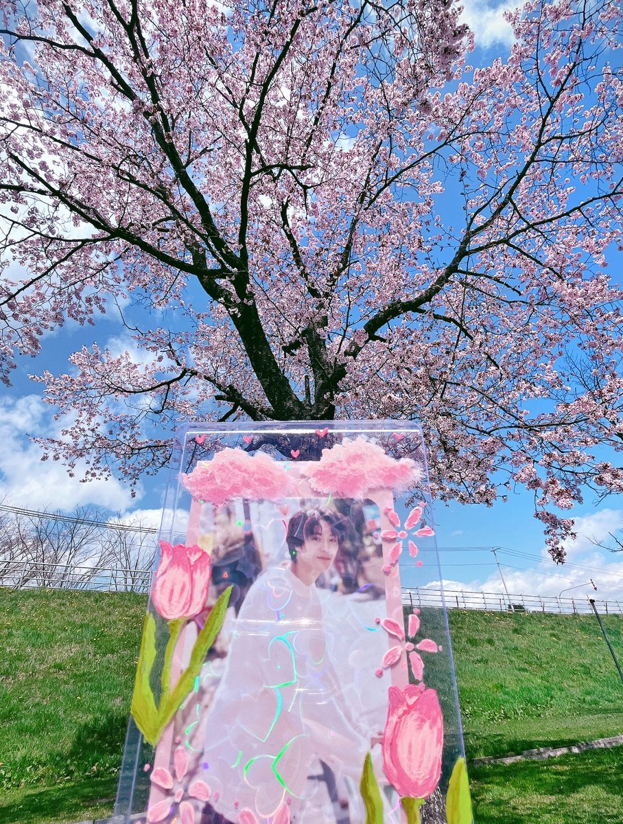 ❀小梅❀ tweet media