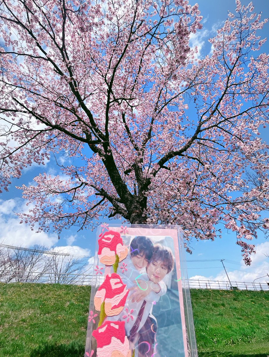 ❀小梅❀ tweet media