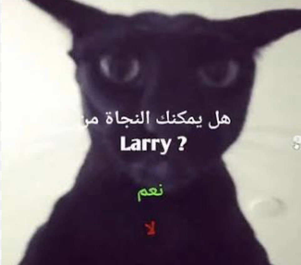 جنىٰ🌸 tweet media