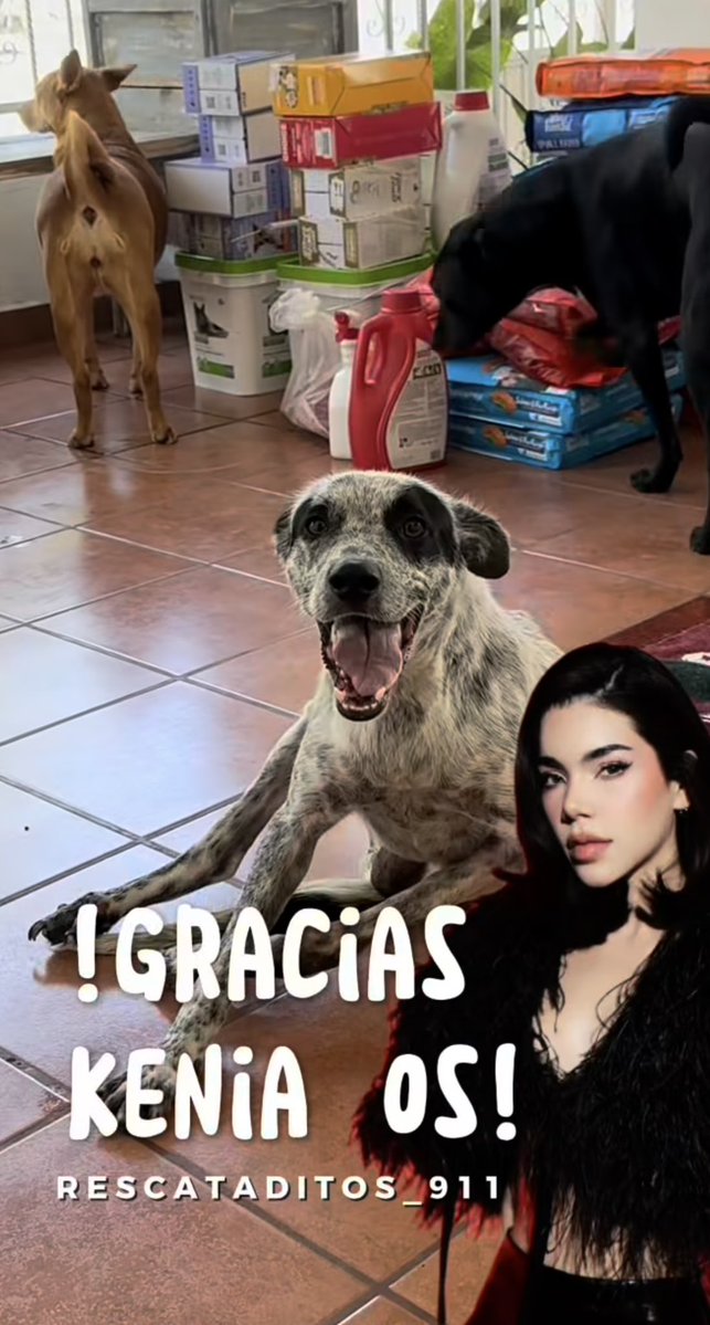 3duu0ssxxxx🦂 tweet media