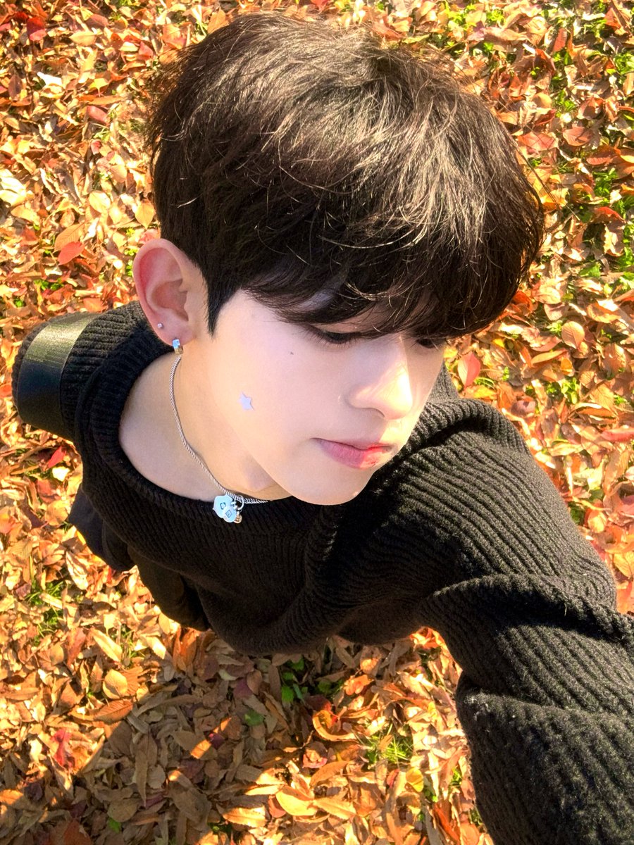 권도현 tweet media