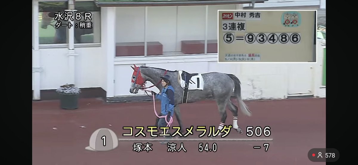 ぽんちゃん tweet media