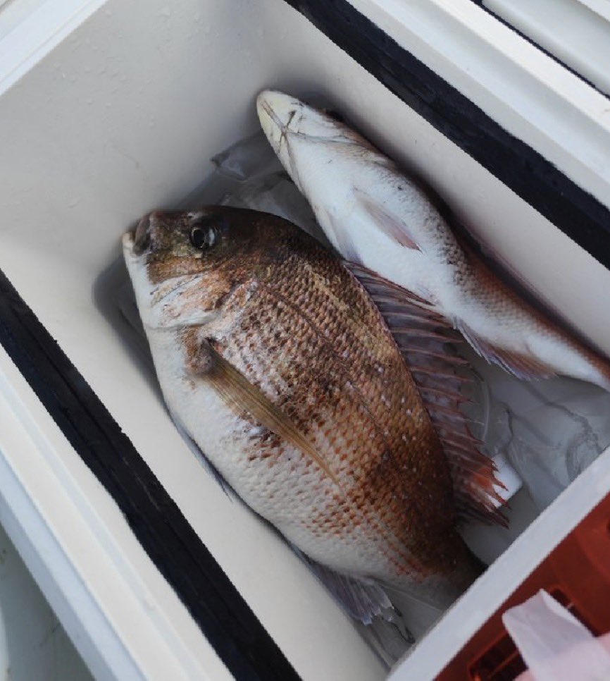 大衆食堂 夜八 tweet media