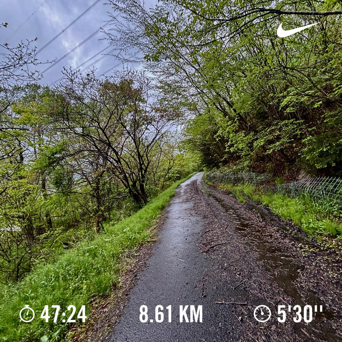 sep_kenken's tweet image. SLOW JOG ✔︎
A relaxed and calm refreshing run

Workout total＝Run →1877 times

#nike #running #pegasus41 #japan #nikerunner #slowjog #走れる事に感謝 #garmin