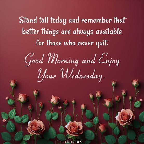 Garletter1's tweet image. 2am #April29th #Wednesday tv off #Morning #Prayers TRUTH🇺🇸🇺🇸🇺🇸🫂⌚️