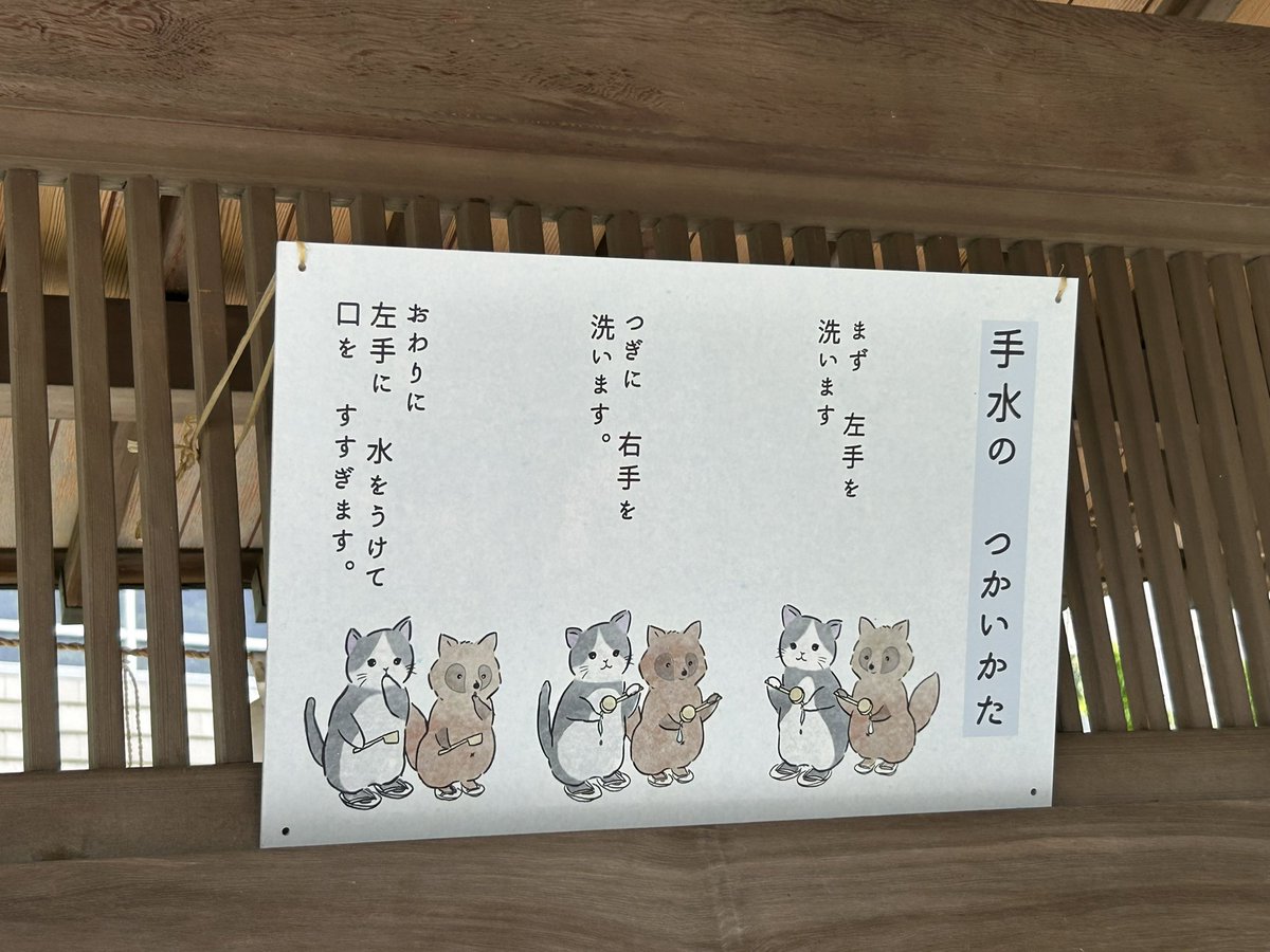 風狐＠寝落ちの達人 tweet media