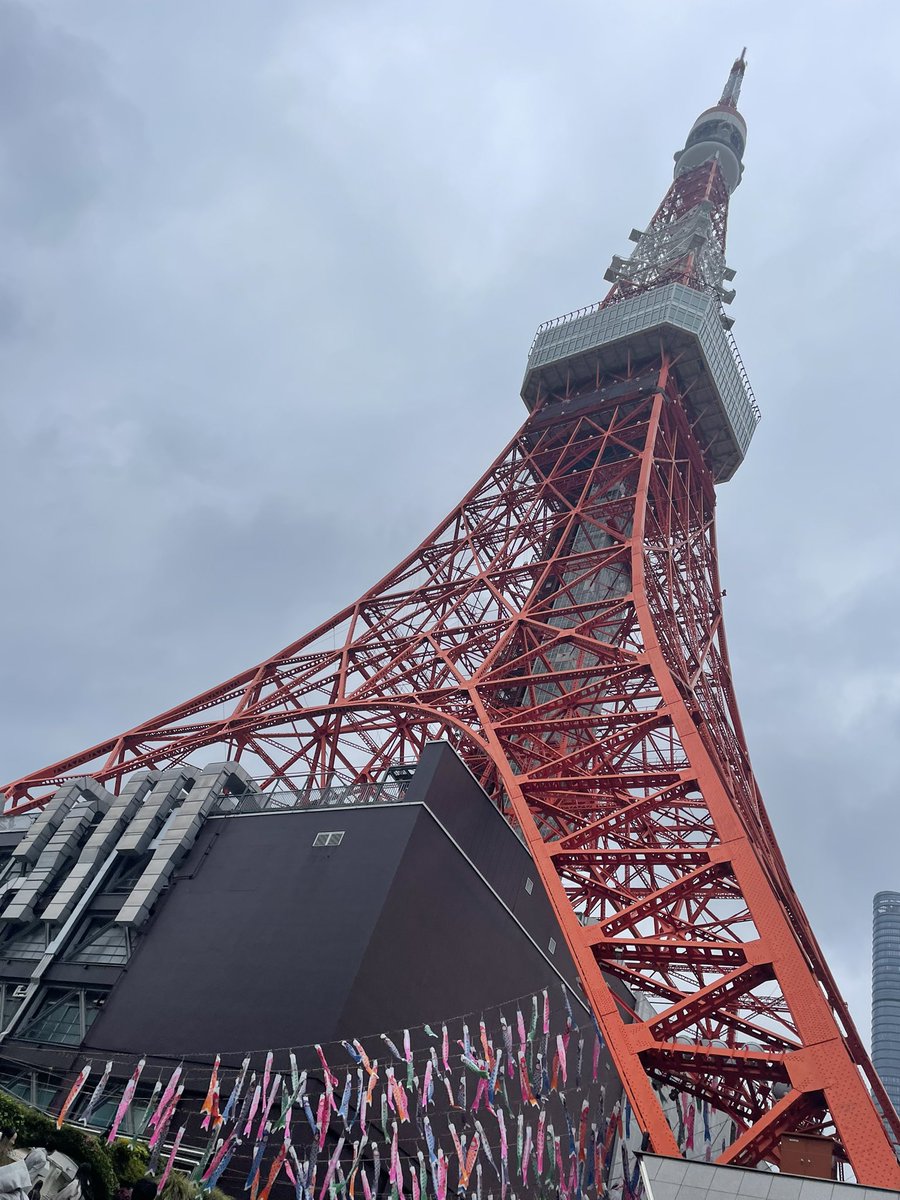 まっちゅ～ tweet media