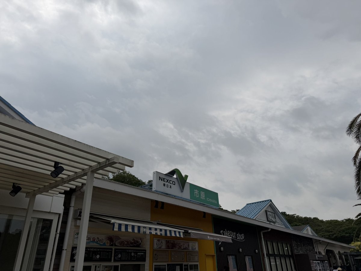 aiai🏰🌋🐭💙🤍⚾☂️🐧⚽🟦🟥 tweet media