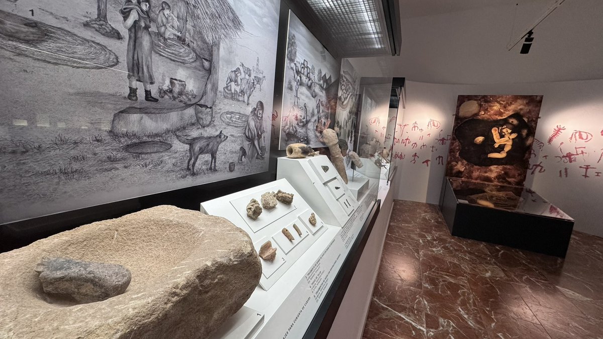 MVCAntequera's tweet image. ℹ️ Información de servicio público

🦴 Sala I del MVCA, la vida de los primeros pobladores de #Antequera

▫️De lunes a domingo
▫️De 10.00h a 18.00h
▫️Entrada #gratuita