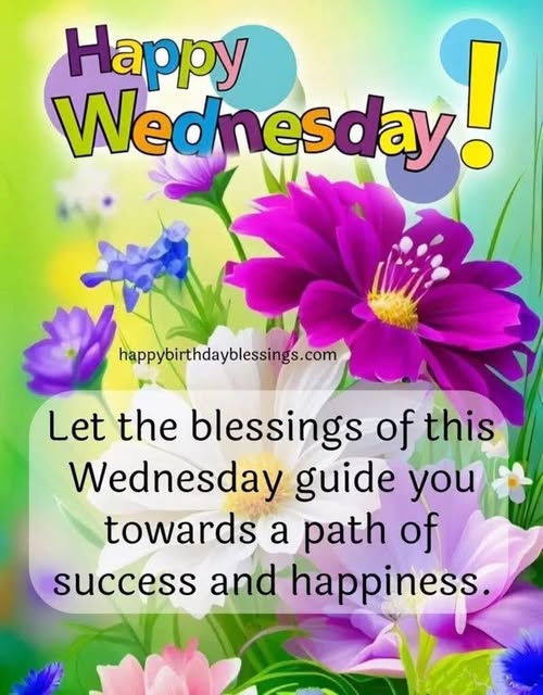 Nicolas Fallsmyth - (RIP Veronica dear friend🌹) tweet media