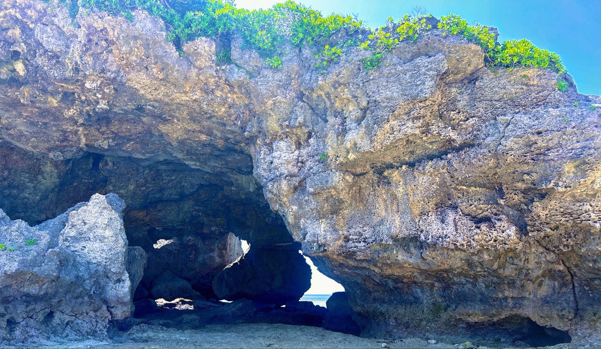 れいあ tweet media