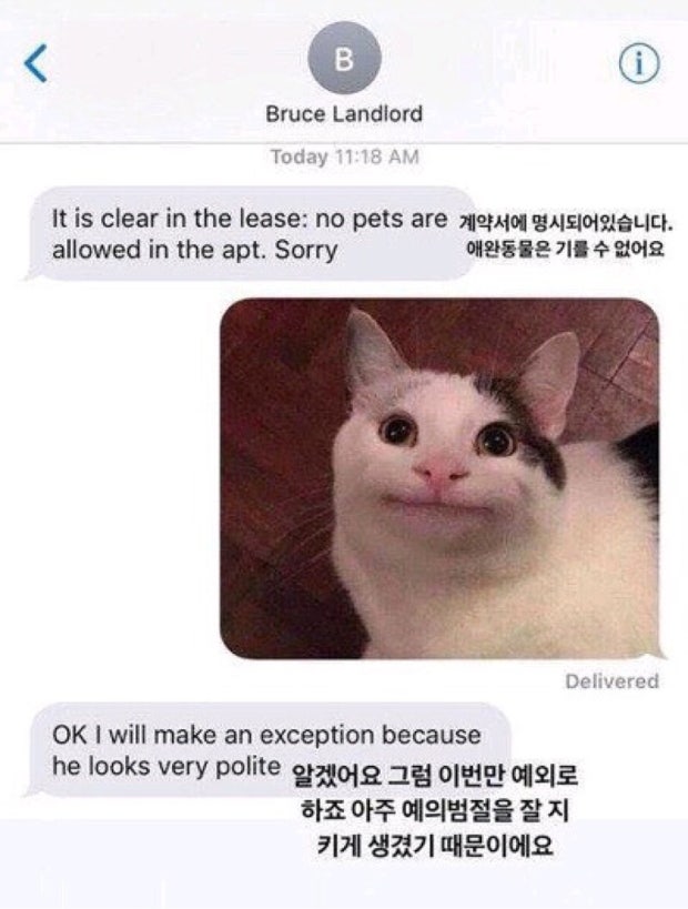 봄나무 tweet media