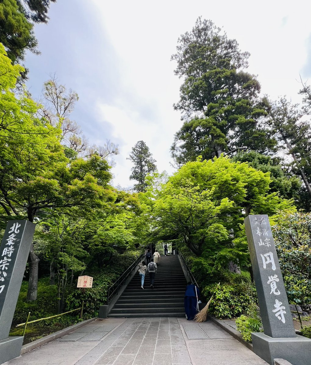 鎌倉漱石の會例会に参加しました✨
🍃新緑の鎌倉🍃
円覚寺 帰源院の牡丹が見事です💖

漱石山房記念館で新しい展示「夏目先生 漱石の教師時代」が始まりました❣️

漱石先生の新しいアクスタ、可愛いです🥰

#円覚寺　#夏目漱石　#漱石アクスタ