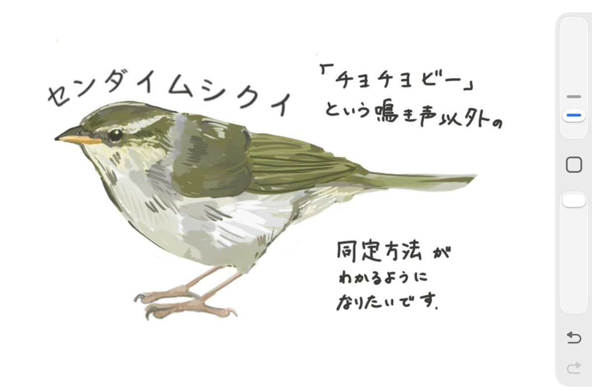 とりつじ tweet media