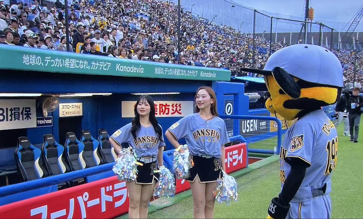 やっちゃん tweet media