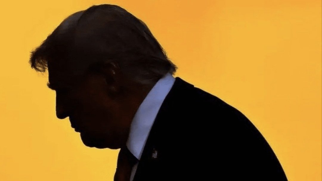 مه‌دخت شاهانی tweet media