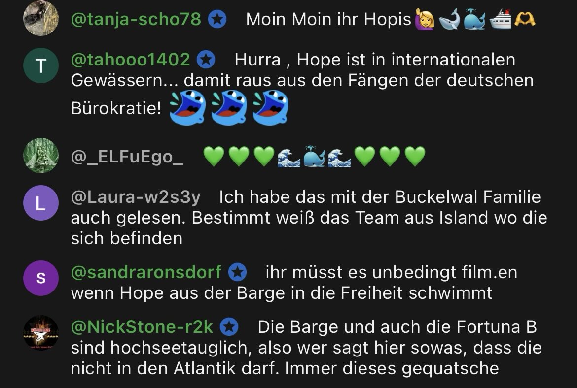 pütze dutch steiss salvatore tweet media