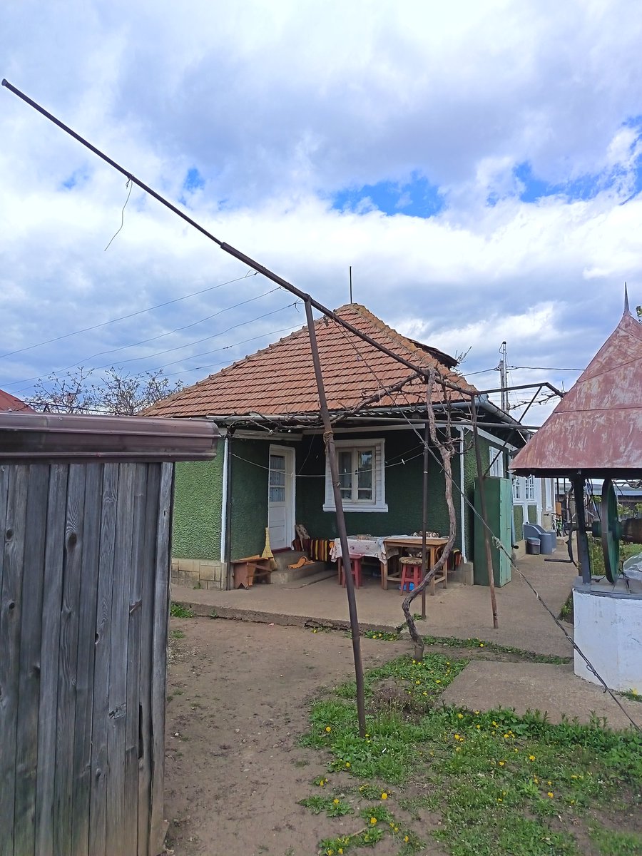 Vandal Dev Founder tweet media