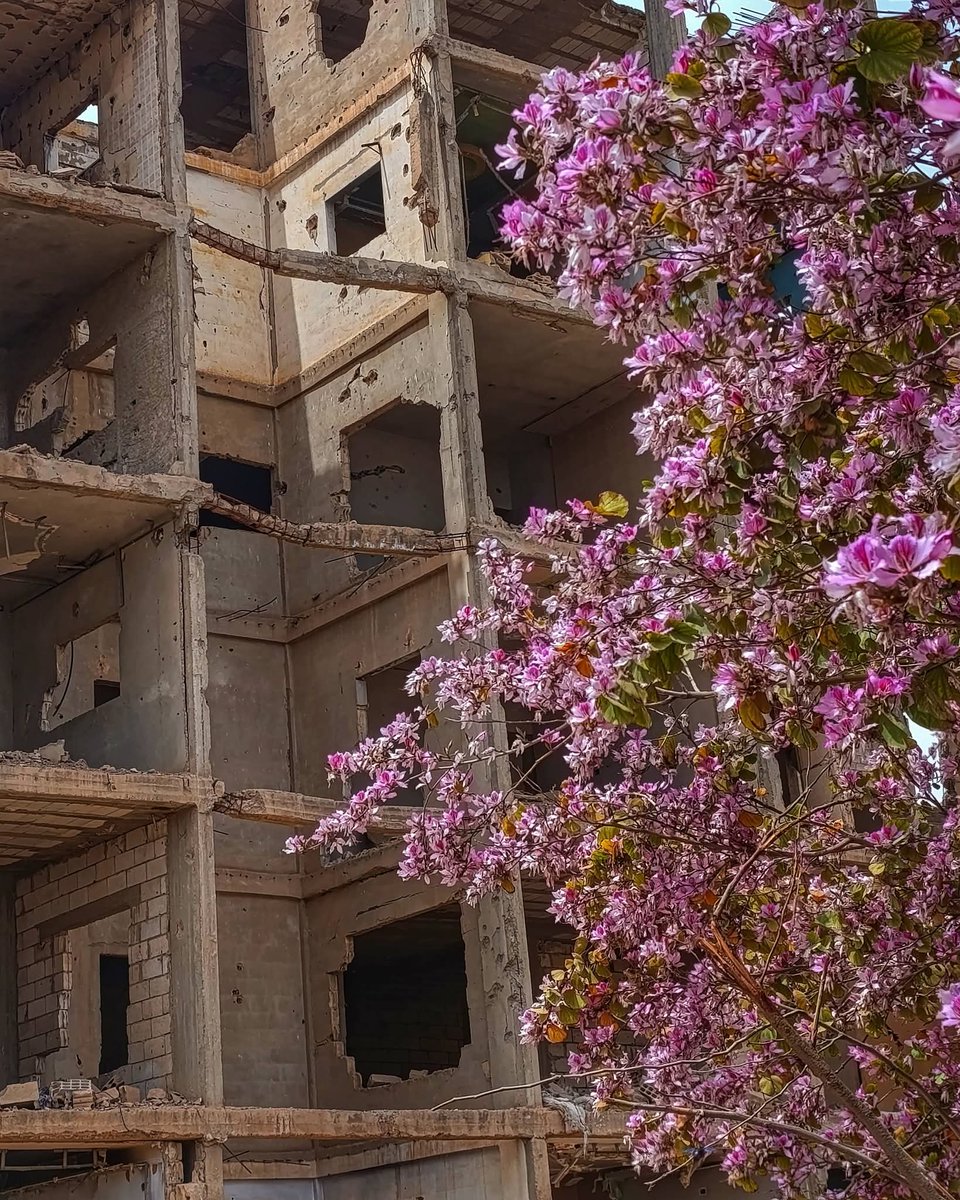 DeirElzzor pinterest🇸🇾 tweet media