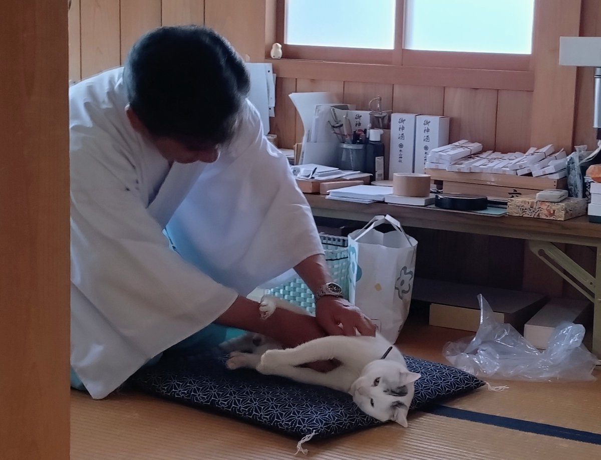 テンちゃん 本日の勤務態度 接客がんばったり、禰宜さんのお部屋を外