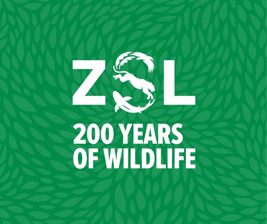 Royal Entomological Society tweet media