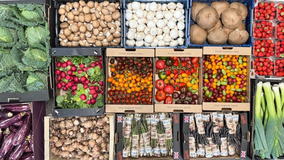 5aDayBox tweet media