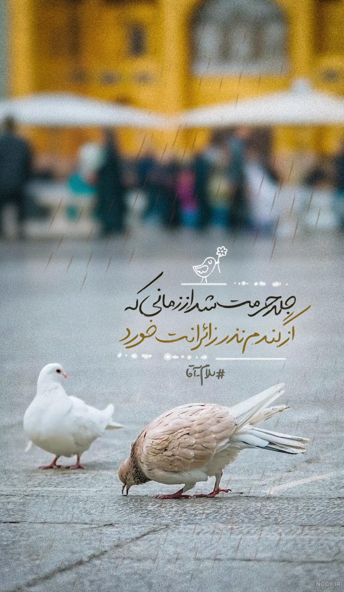 Hadiss🇮🇷🇵🇸🚩 tweet media