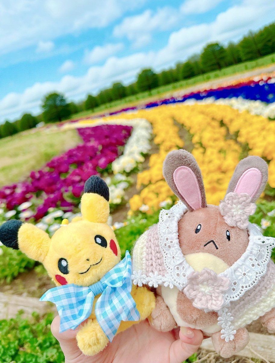 倉 tweet media