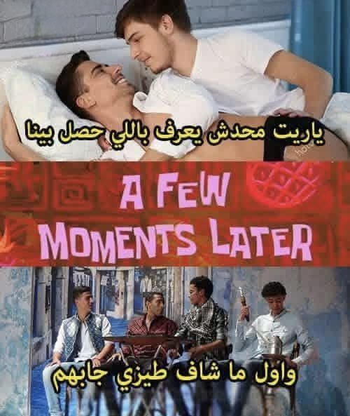 المتخربش من القط البرتقاني 😭🐈 tweet media