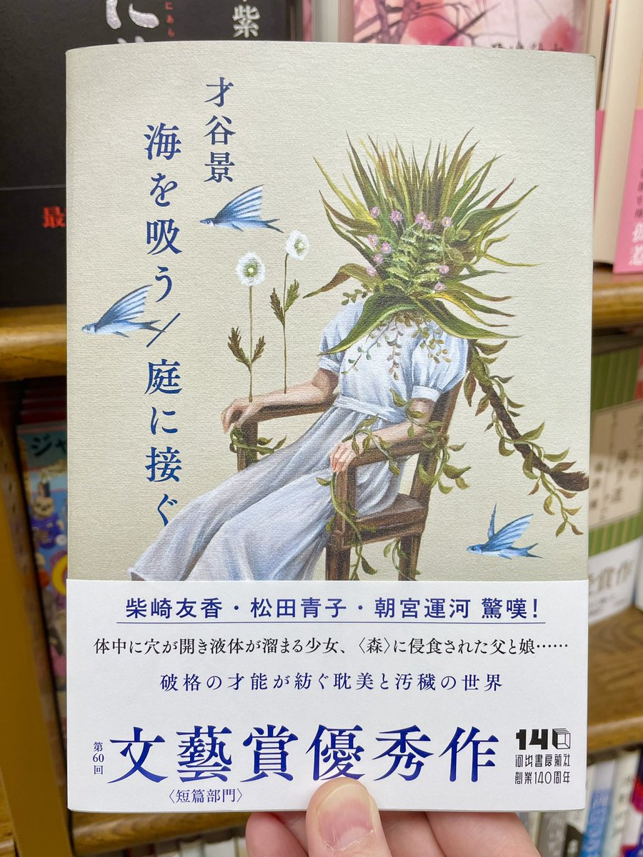 junkudo_akita's tweet photo. 『海を吸う/庭に接ぐ』。朝新刊の箱開けたら輝いてたシリーズです◎装画が榎本マリコさん。735号的に、やばい物語に榎本マリコさんあり。過去に手がけられたもの、思いついたのざっと撮ってきたので見てください。やばいでしょ？（735号） https://t.co/SY6CFvYlTi