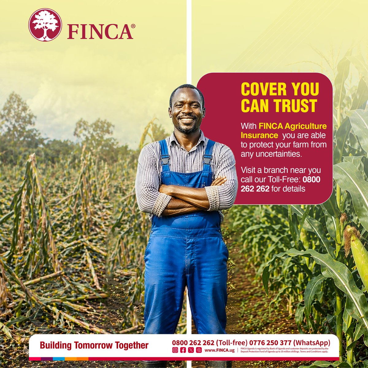 Protect your firm from unforeseen circumstances for as low as UGX 116,000/year with FINCA Agriculture Insurance.

Visit a branch near you today or call our toll-free number 0800 262 262.